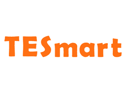 TESmart Logo