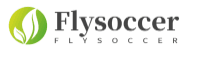 Flysoccer Logo