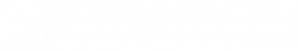 Niche Essence Logo