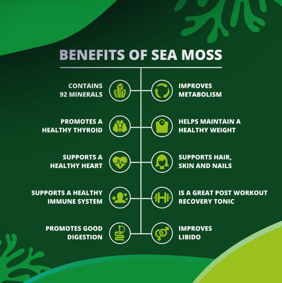 Unlocking the Untapped Power of <strong>True Sea Moss</strong> – Your Natural Superfood for Wellness and Vitality”></div>
<p> Sea moss is a natural superfood packed with vitamin C, amino acids, and antioxidants. It helps strengthen your immune system and protect your body from harmful pathogens. A simple daily boost for lasting resilience.</p>
<p> Beyond its vitamin content, <em><strong>True Sea Moss</strong></em>‘s antioxidants help reduce inflammation and support immune cell activity, promoting faster recovery from illnesses. It’s like giving your immune system a gentle yet powerful boost from nature. In my personal journey, integrating <em><strong>True Sea Moss</strong></em> created a noticeable difference in my energy levels and my resilience to common colds, reinforcing its reputation as a natural shield. The sea moss’s immune-enhancing properties extend their benefits beyond just illness prevention; they cultivate overall vitality and balance within the body.</p>
<p><span style=