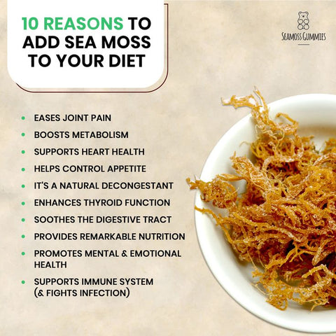 Unlocking the Untapped Power of <strong>True Sea Moss</strong> – Your Natural Superfood for Wellness and Vitality”></div>
<p> The thyroid gland, responsible for regulating hormones that impact virtually every aspect of health, benefits immensely from the iodine-rich composition of <em><strong>True Sea Moss</strong></em>. Ensuring adequate iodine intake is crucial for maintaining <strong>thyroid health</strong>, preventing disorders like hypothyroidism, and supporting metabolic harmony. Given that iodine deficiency is common in many modern diets, <em><strong>True Sea Moss</strong></em> offers a natural solution for restoring this vital mineral.</p>
<p> My personal insight is that regular consumption of sea moss improved my energy, mood, and weight management—symptoms often linked to thyroid health. It’s important to note that while <em><strong>True Sea Moss</strong></em> is beneficial, moderation and consulting professionals are recommended, especially for those with existing thyroid conditions. When used responsibly, <em><strong>True Sea Moss</strong></em> can be a powerful ally in maintaining hormonal balance and promoting resilience against thyroid imbalances, emphasizing its integral role within holistic health practices.</p>
<p><span style=