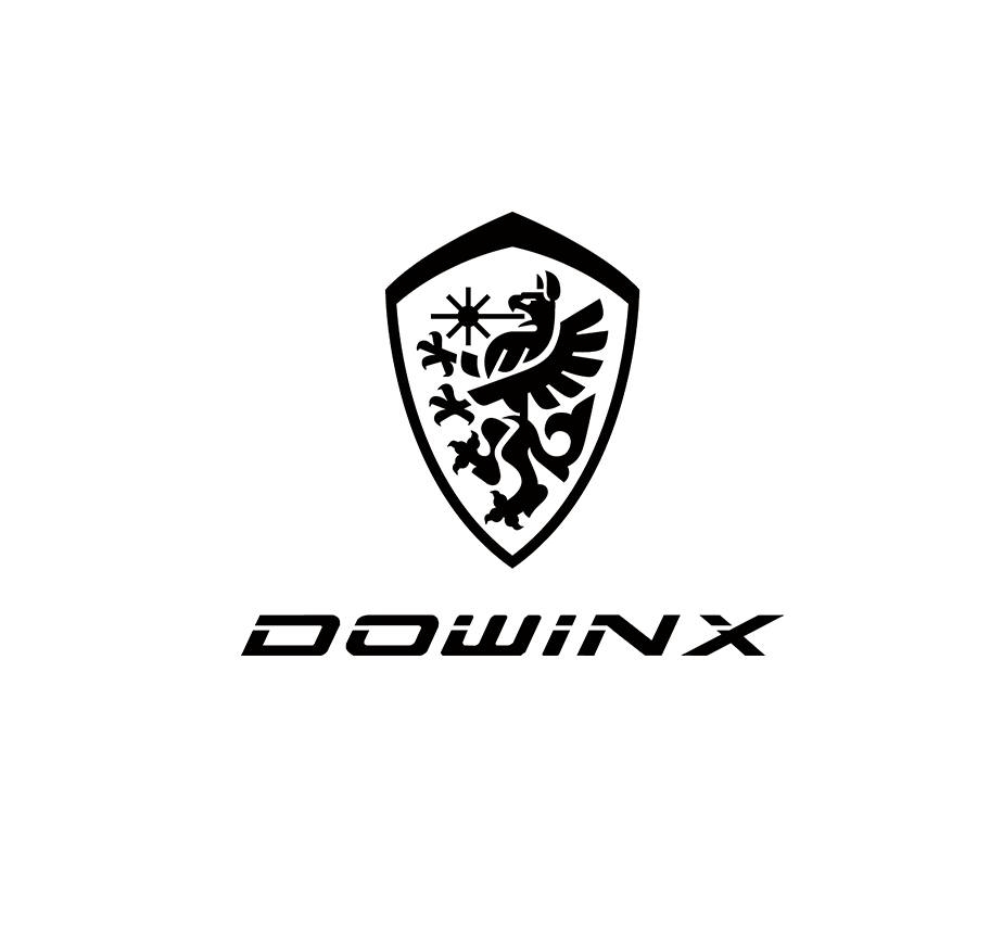 Dowinx Logo