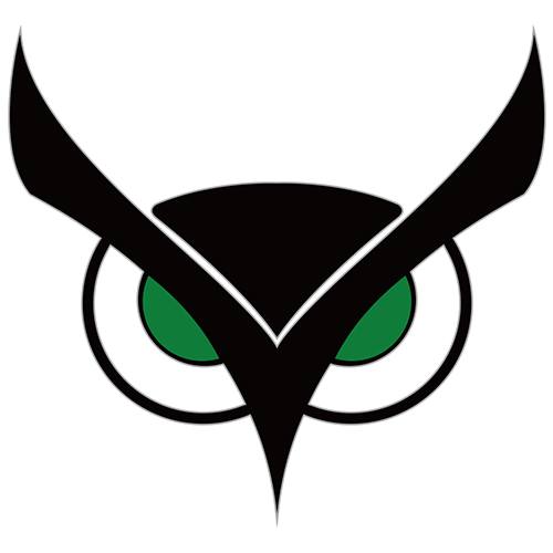 US NightHawk Logo